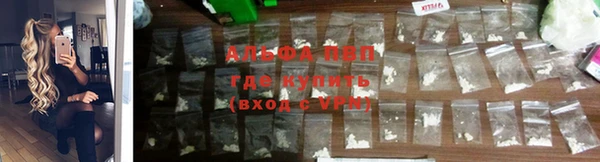 ПСИЛОЦИБИНОВЫЕ ГРИБЫ Киреевск