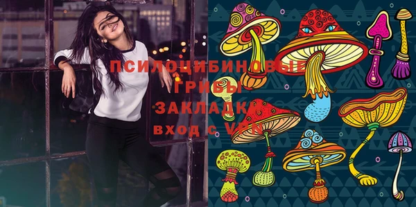 mdpv Кинешма