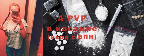 ПСИЛОЦИБИНОВЫЕ ГРИБЫ Киреевск