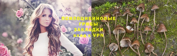 ПСИЛОЦИБИНОВЫЕ ГРИБЫ Киреевск