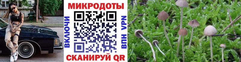 Галлюциногенные грибы Psilocybine cubensis  Купить где  Кизел 