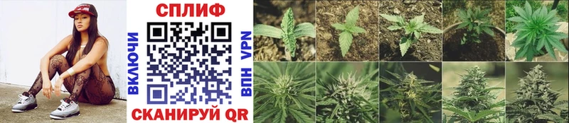 Марихуана SATIVA & INDICA  Купить где  Кизел 